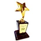 sert Золотая звезда продаж 2011