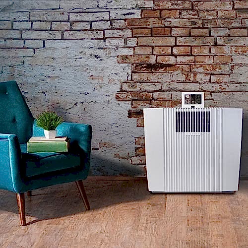 Один исполнитель - Ваше спокойствие